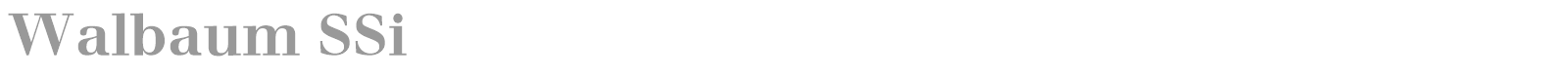 Walbaum SSi font preview